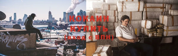 герыч Пересвет